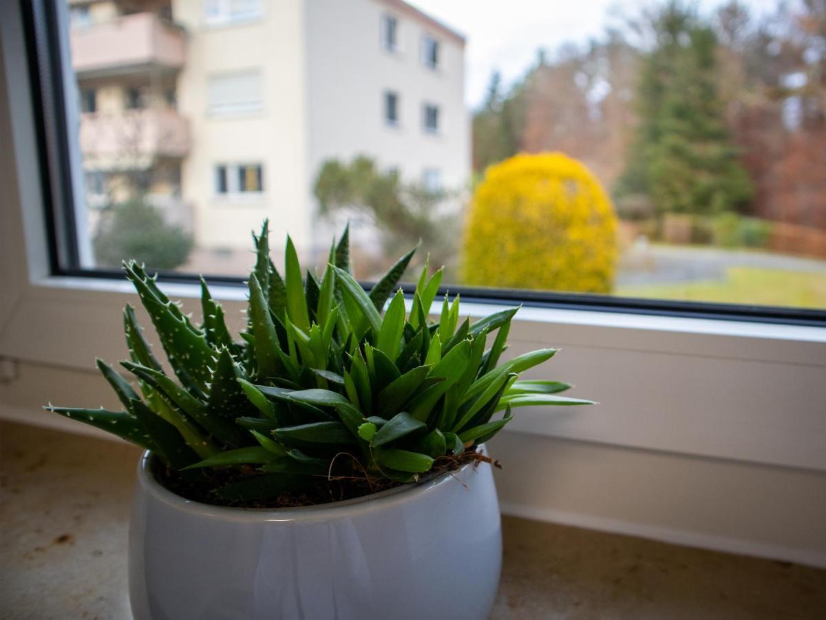 Seewaldblick - Ferienwohnung Am Bodensee FDH Extérieur photo